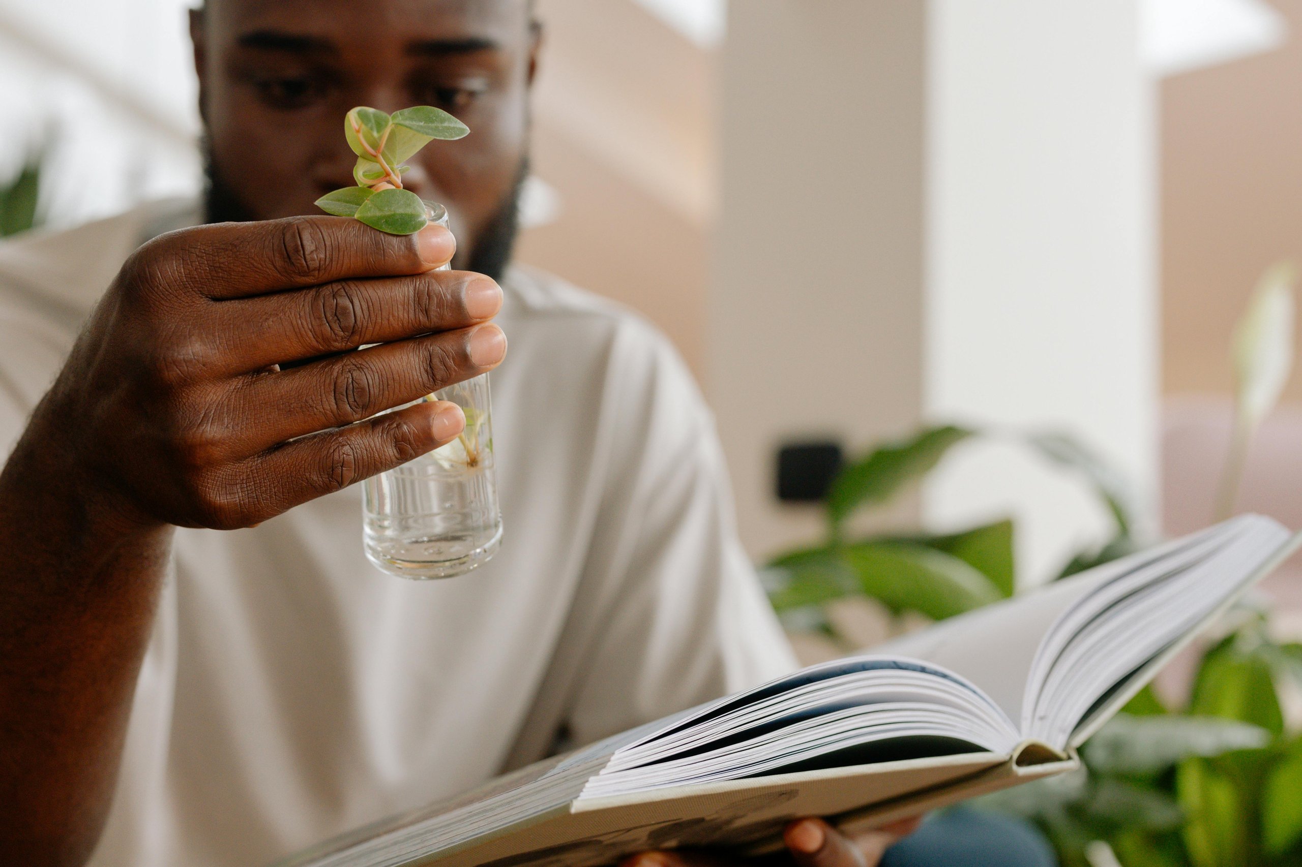 Navigating change coaching