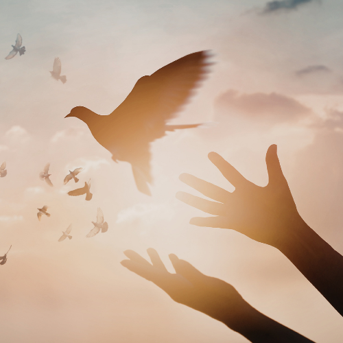 Trauma and nervous system therapy