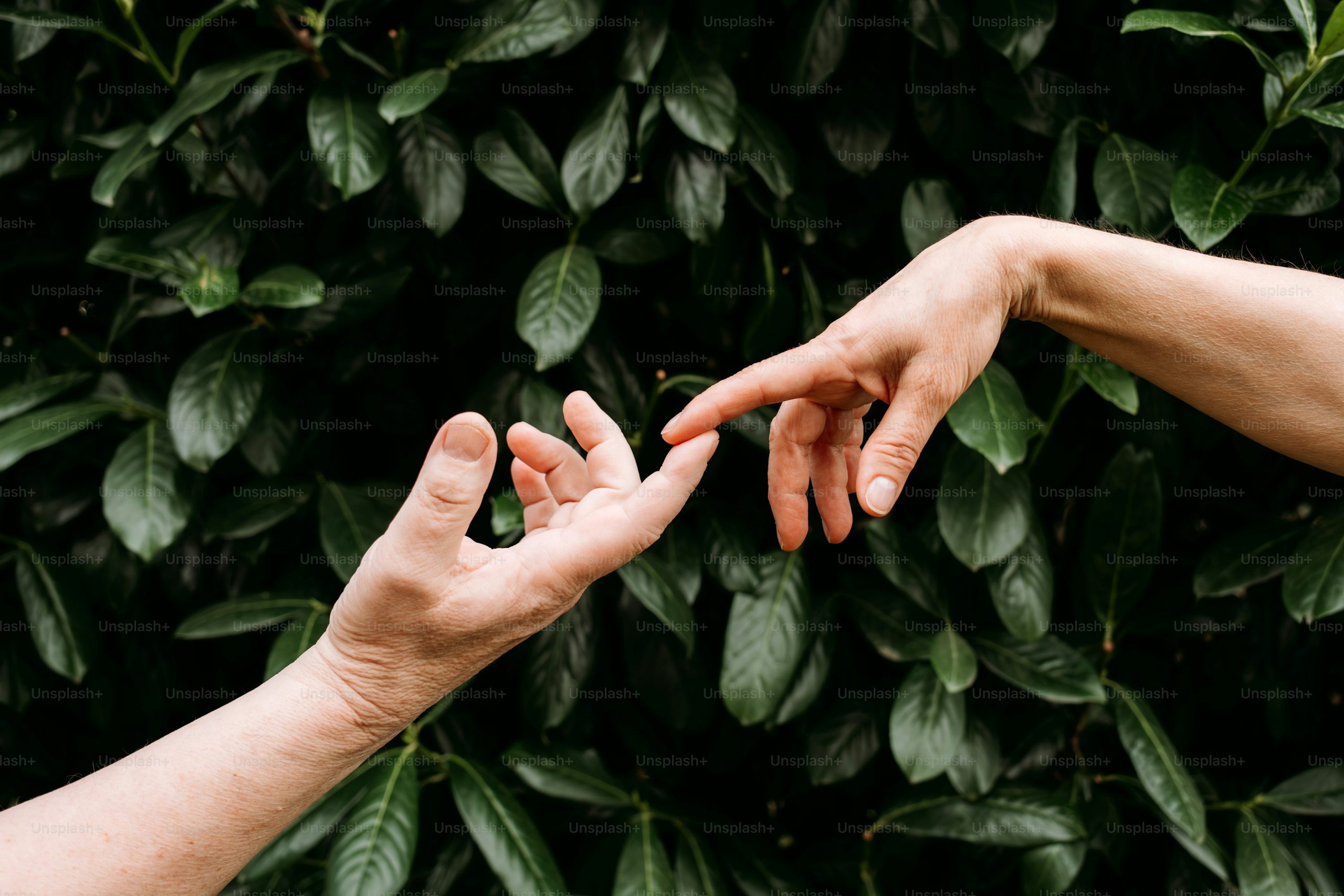 Relationships and connection therapy